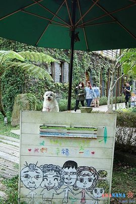 DSC07099