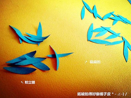 DSC00705_副本