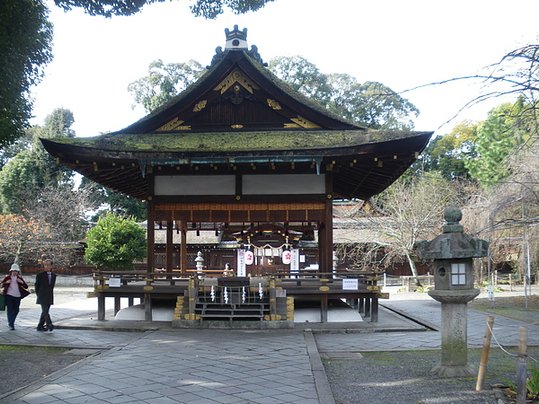 IMGP0737.JPG
