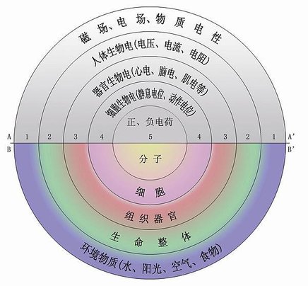 生物電