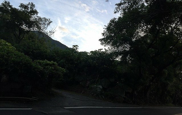 東昇路溫泉 (81)