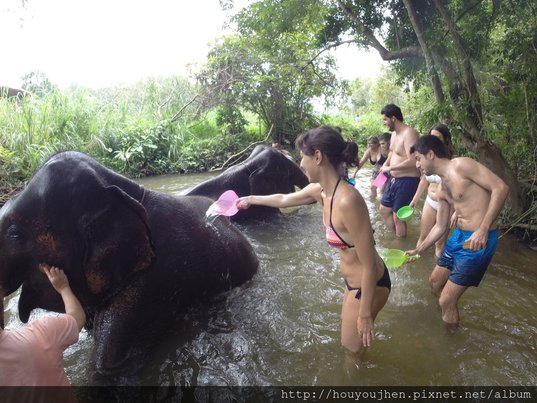 Elephant Park in Chiang Mai (6).JPG