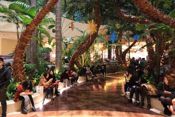 澳門金沙城中心 喜來登酒店 (Sheraton Macao Hotel Cotai Central)