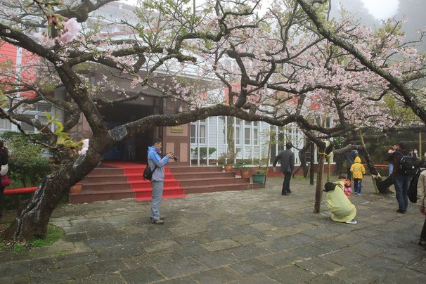 嘉義阿里山 朝麗阿里山賓館（Alishan House)