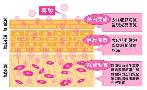 Physicians Box-Pores-2