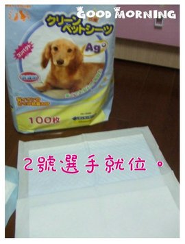 DSCF1313.JPG