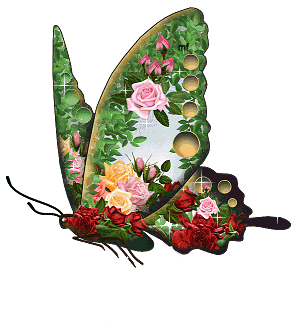 http://www.ocbf.ca/2012/sites/default/files/img/bible/hs12-7.jpg