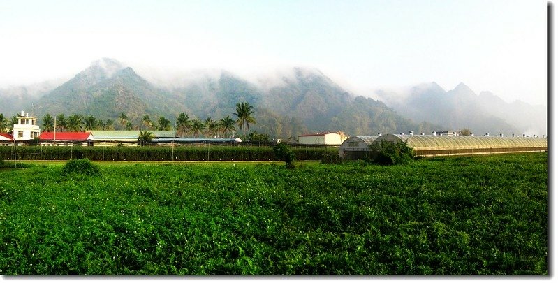 雲霧下的旗尾山稜