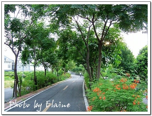 東豐綠廊後半段風景