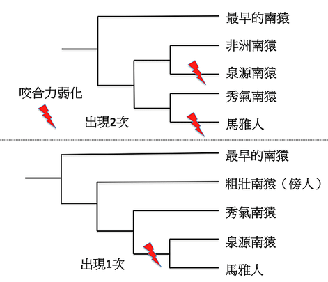 KMT228