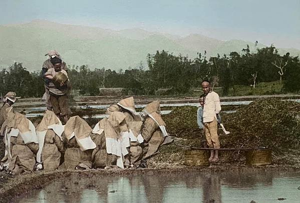 台北城北門外的農村-1895年，台北城北門外的農村。在大稻埕