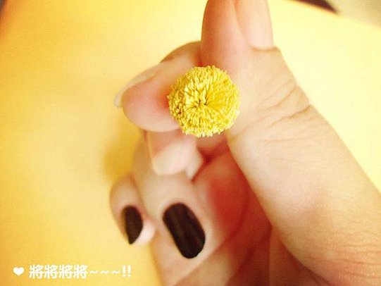 DSC00682_副本