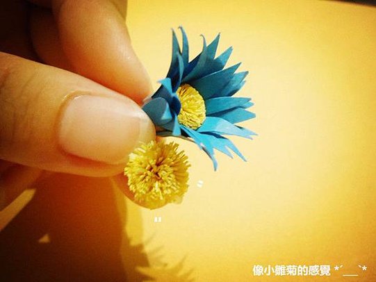 DSC00728_副本
