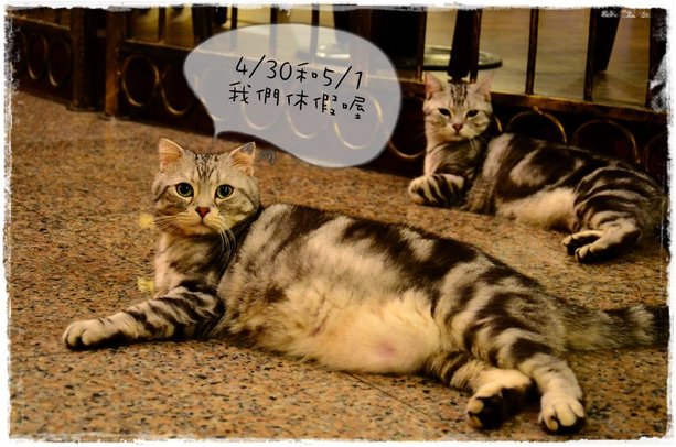 公休.JPG