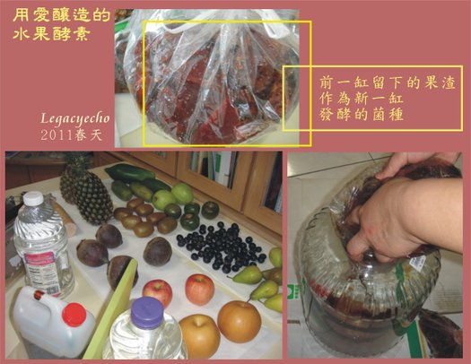 酵素02.jpg