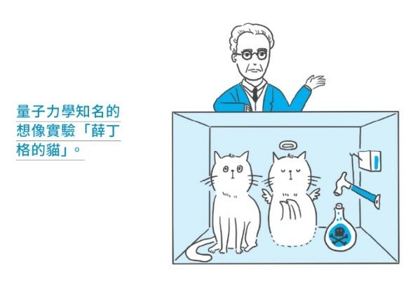 研討量子力學詮釋問題時，薛丁格貓也時常會被提出-薛丁格貓T恤