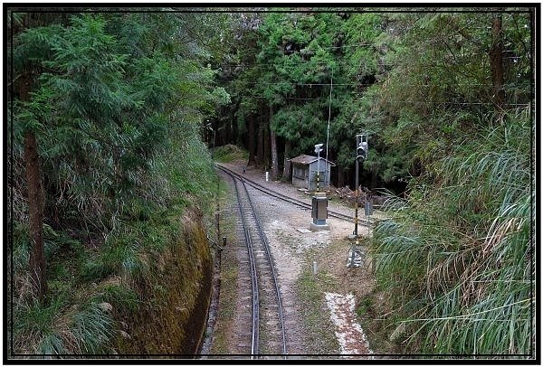 鐵道最高點阿里山塔山海拔2346米 +眠月線的塔山站，在塔山