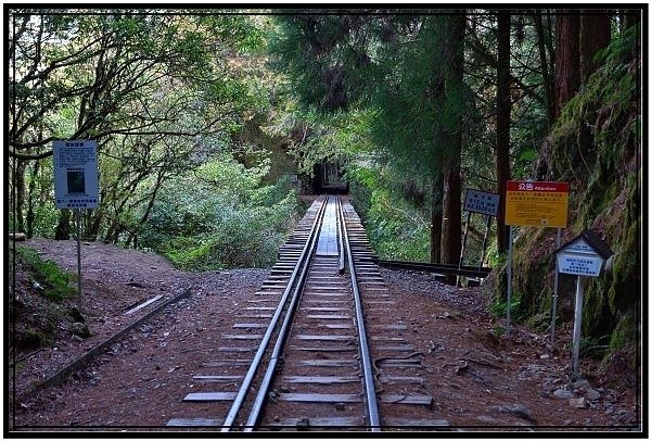 鐵道最高點阿里山塔山海拔2346米 +眠月線的塔山站，在塔山