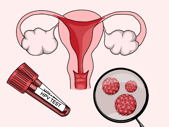 人類乳突病毒 (HPV) 菜花傳播途徑