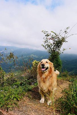 馬那邦山看風景