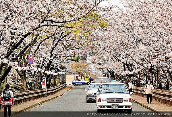 【熊本縣】2024修復更新：三大名城「熊本城」天守閣復活、加