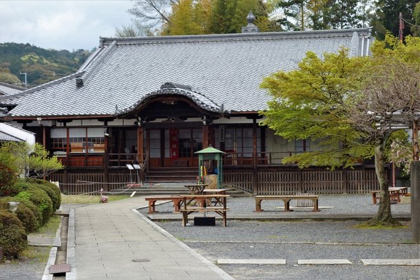 DSC01879-1.jpg