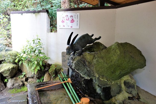 DSC01985-1.jpg