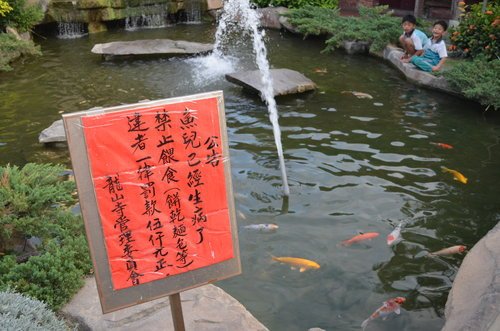彰化鹿港● 鹿港老鎮