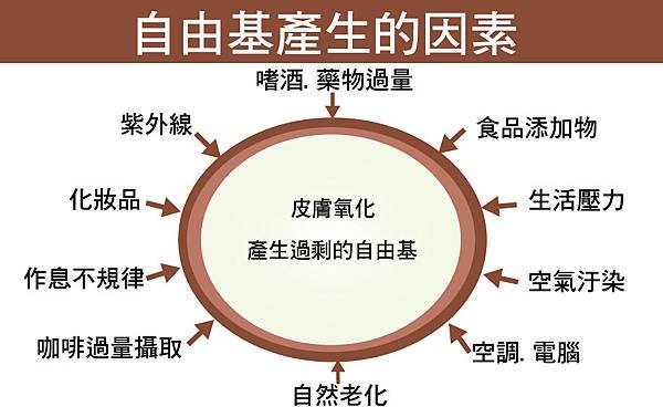 Physicians-Box-Ageing-2