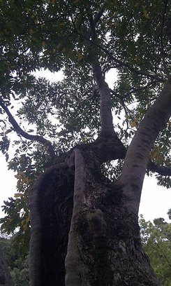 IMAG0904