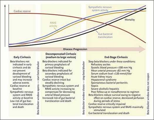 cirrhosis-fig-3.jpg