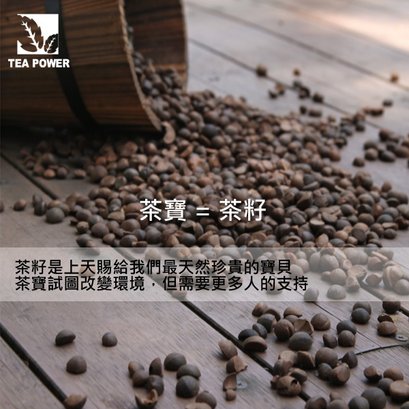 copy_d_201112281023431980.jpg