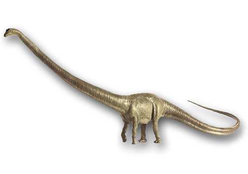 Barosaurus_DKmodel_1-1