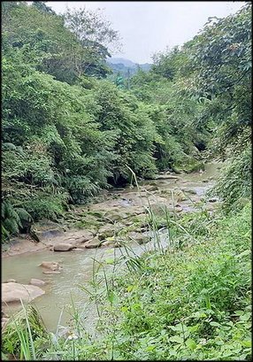 烏塗溪步道_040.jpg