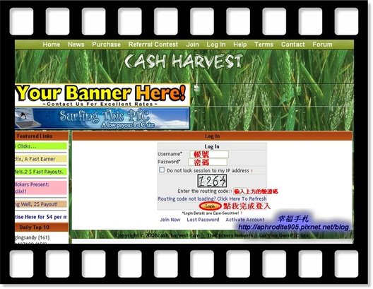 Cash-Harvest_03.jpg