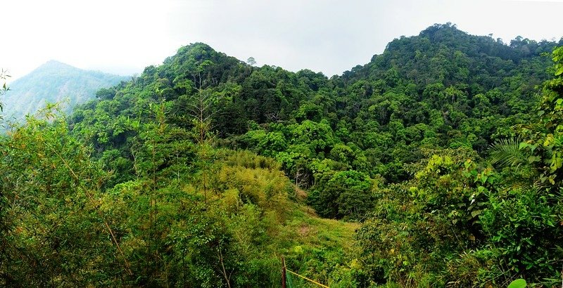 觀音山東北峰西南望觀音山(R)