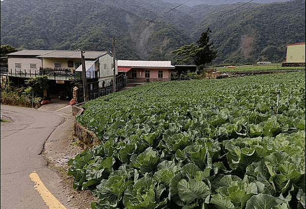 南山部落訪查心得