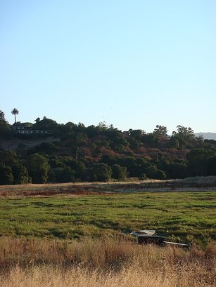 DSC08112.JPG
