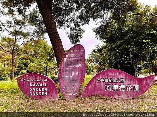 ＊【台南開箱】超酷的城市森林「巴克禮紀念公園」荒野公園，你我