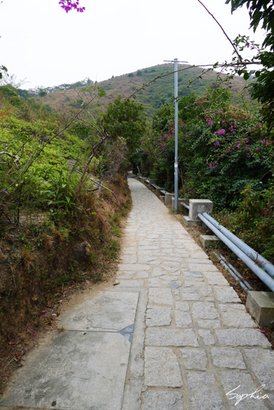 LM_12.jpg