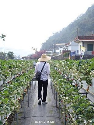 DSC00026拷貝.jpg