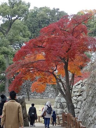 p145602875747.jpg