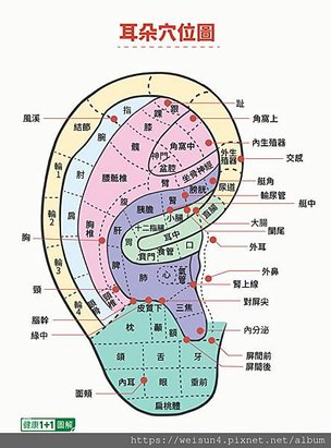 耳朵穴位圖_2.jpg