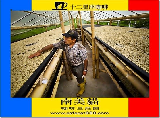簡報5