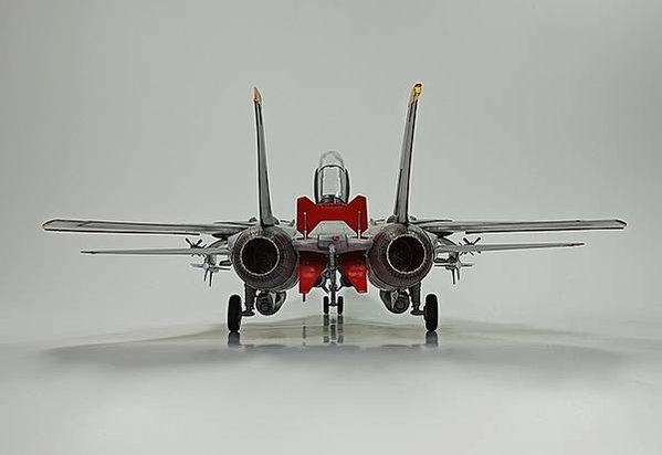 Hasegawa 1/48 F-14A  Tomcat 雄貓