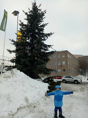95753.jpg
