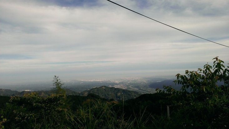 IMAG0219