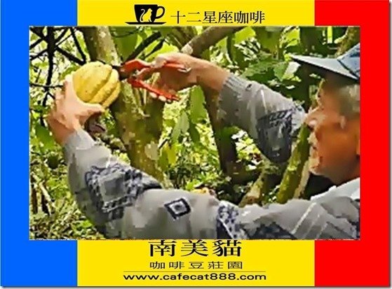 簡報5