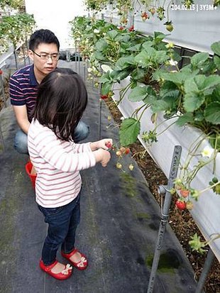 DSC00027拷貝.jpg