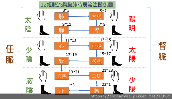 01-【十二經脈流】與【臟腑】時辰流注關係【速記圖】

 
